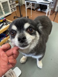 thumbnail_image0