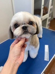 thumbnail_image0