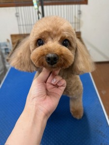 thumbnail_image0