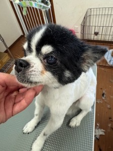 thumbnail_image2