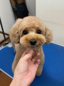 thumbnail_image4