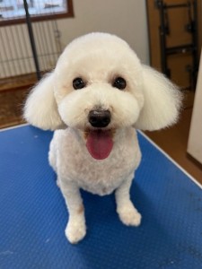 thumbnail_image4