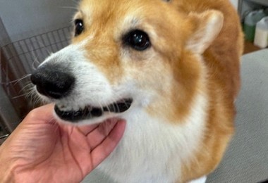 thumbnail_image5 (1)