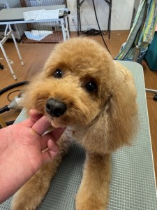 thumbnail_image5