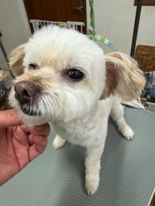 IMG20240608143848