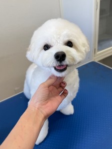 IMG20240608171310