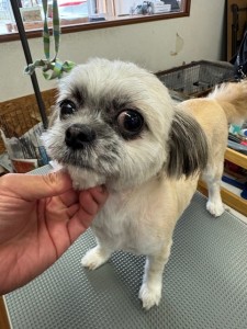 IMG20240608171310