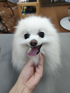 IMG20240608171310