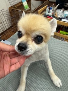 IMG20240608171310