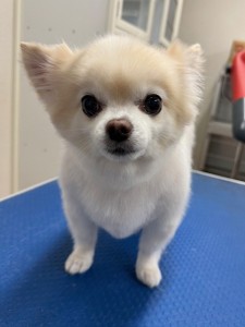IMG20240608181916
