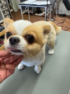 IMG20240608181916