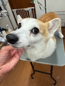 IMG20240608181916