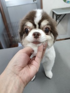 IMG20240608181916