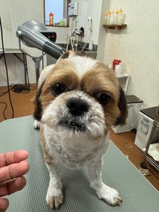 IMG20240608181916