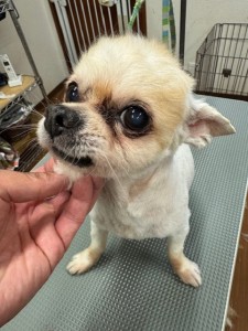IMG20240608181916