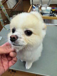 IMG20240816181814