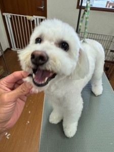 IMG20240816181814