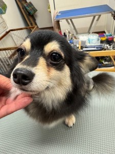 IMG20240816181814