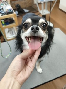 IMG20240816181814
