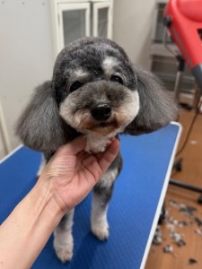 IMG20240816181814