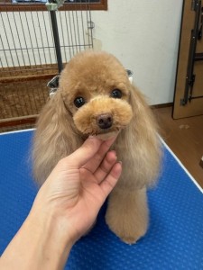 thumbnail_image0
