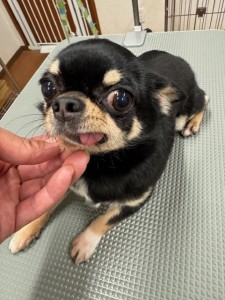 thumbnail_image0