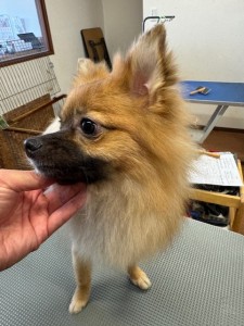 thumbnail_image2