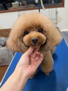 thumbnail_image2