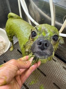 thumbnail_image4