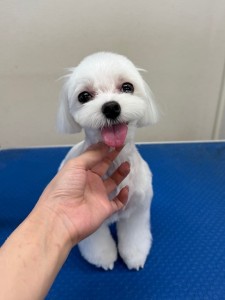thumbnail_image5