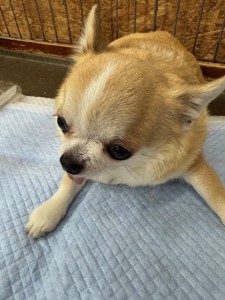 thumbnail_image5