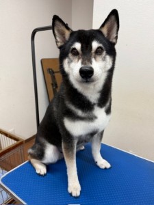 thumbnail_image6 (1)