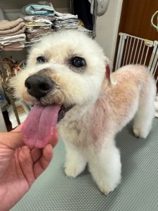thumbnail_image6
