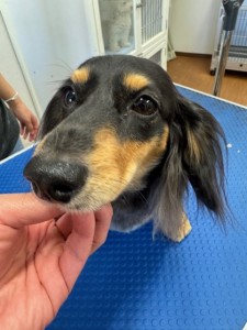 thumbnail_image5 (1)