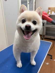 thumbnail_image5 (1)