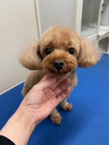 thumbnail_image5 (1)