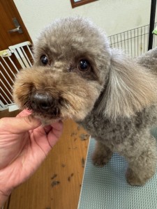 thumbnail_image5 (1)