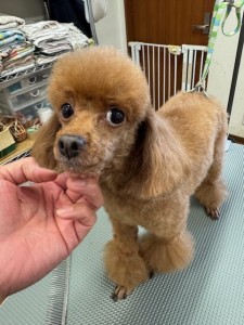 thumbnail_image6 (1)