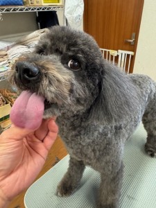 thumbnail_image6 (1)