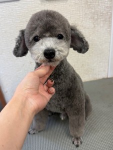 thumbnail_image5 (1)