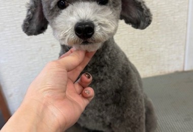 thumbnail_image5 (1)