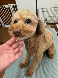 thumbnail_image5 (1)