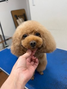 thumbnail_image5 (1)