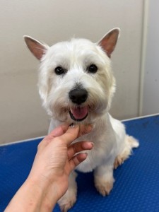 4df99342-4d54-4bc5-8913-9c6ea5f86c36