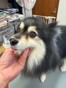 4df99342-4d54-4bc5-8913-9c6ea5f86c36