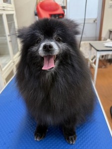 4df99342-4d54-4bc5-8913-9c6ea5f86c36