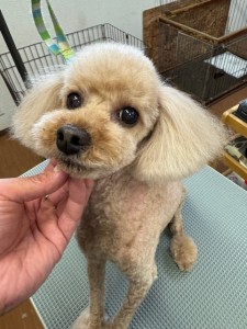 4df99342-4d54-4bc5-8913-9c6ea5f86c36