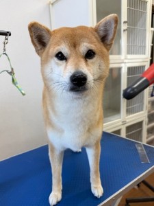 4df99342-4d54-4bc5-8913-9c6ea5f86c36