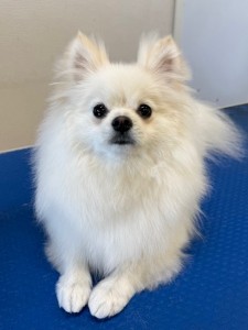 4df99342-4d54-4bc5-8913-9c6ea5f86c36