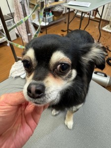 4df99342-4d54-4bc5-8913-9c6ea5f86c36